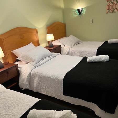 Hotel Nova Vida Concepción المظهر الخارجي الصورة